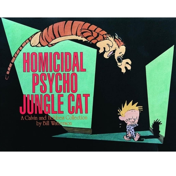 GUC VINTAGE CALVIN AND HOBBS PAPERBACK BOOKS - Picture 11 of 16